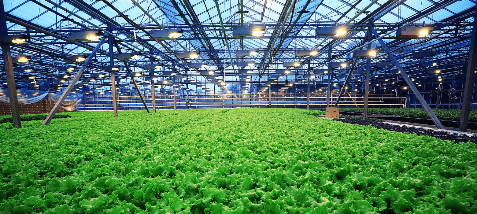 Agribusiness